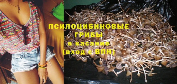мескалин Нягань