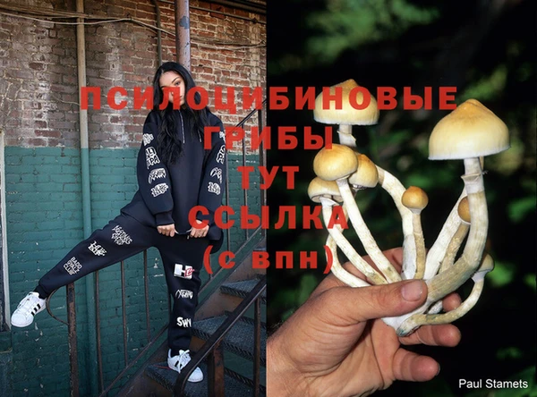 марки nbome Няндома