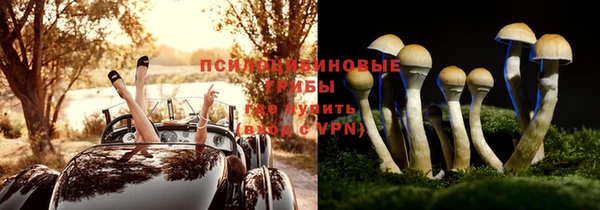 мескалин Нягань
