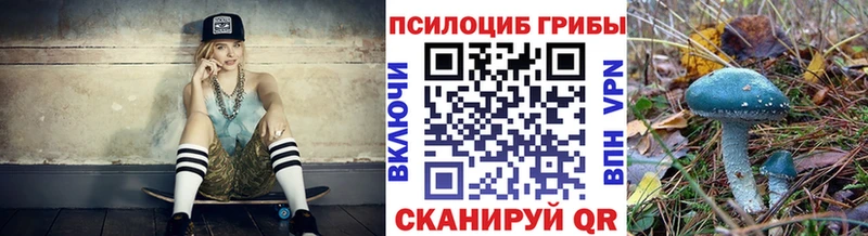 Галлюциногенные грибы Psilocybine cubensis Купить закладки Красновишерск